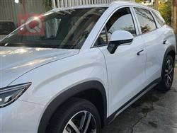 بي واي دي سونغ L DM-i